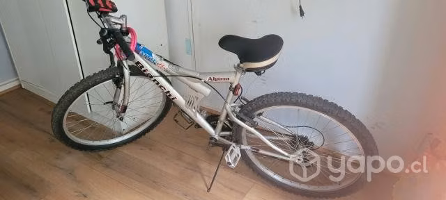 Bicicleta usada - Imagen 2