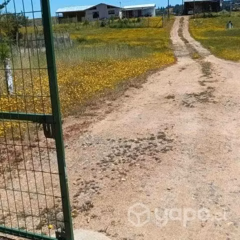 Venta de propiedad más casa
