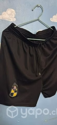 Short coquimbo unido