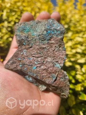 Mina de Cobre - Oro - Imagen 3