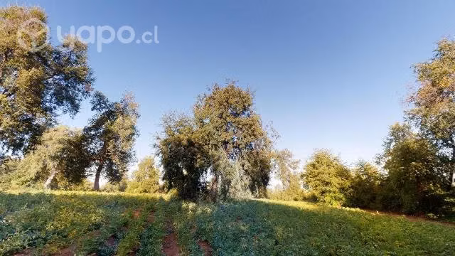Vendo terreno en romeral