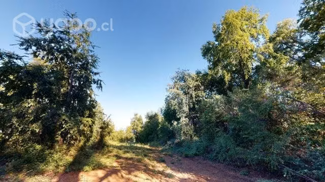 Vendo terreno en romeral