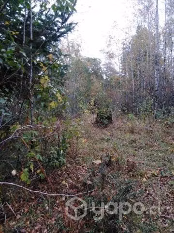 Terreno rural comuna de purranque