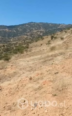 Terreno de 5000 mts con rol propio. Dueña Directa