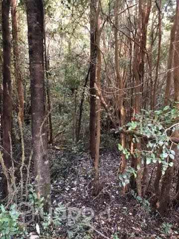 Parcela en lago tarahuin