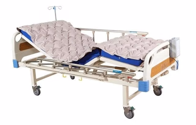 Cama Ortopédica