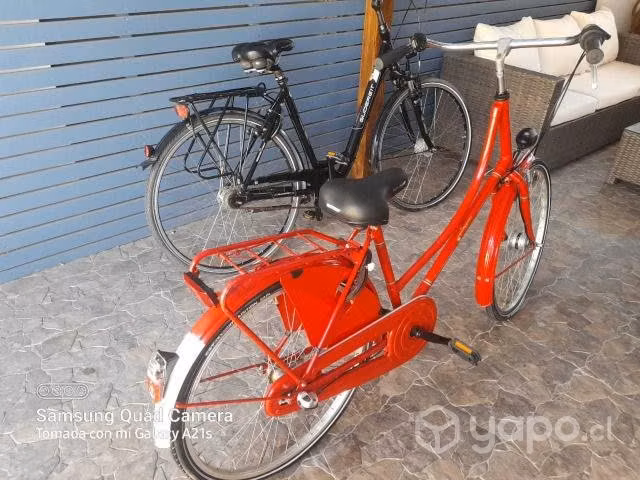 Bicicleta Falter Clásica H 1.0, usada - Imagen 2