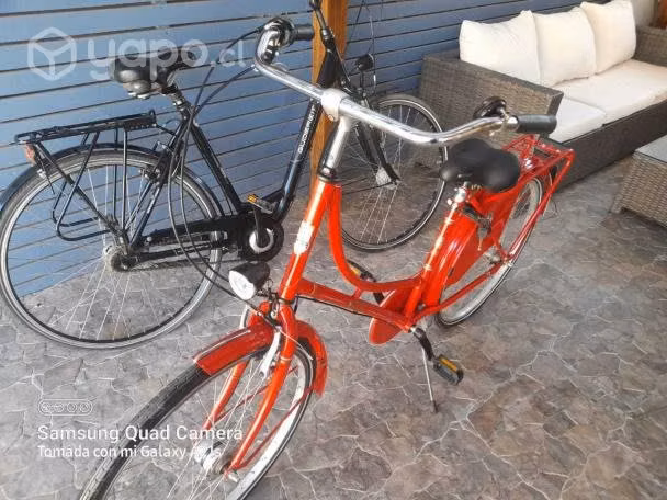 Bicicleta Falter Clásica H 1.0, usada