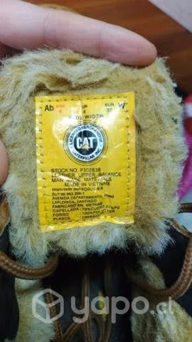 Caterpillar - Imagen 2