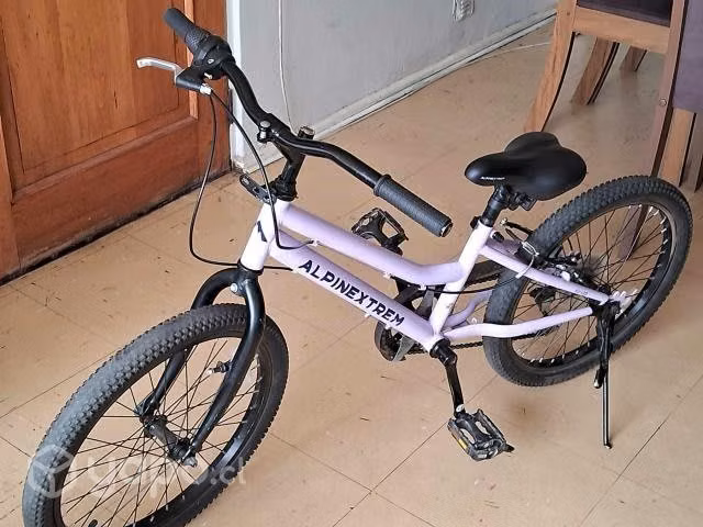 Bicicleta alpine xtrem aro 20