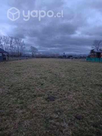 Hermosa Parcela 5000m2 terreno plano