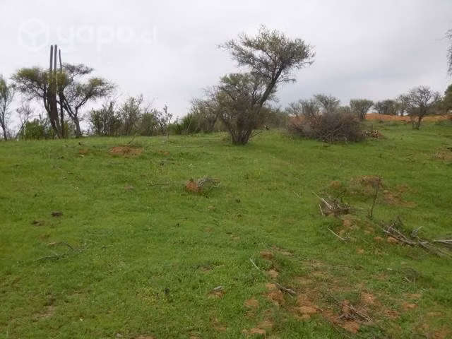 Parcela 5000 metros Sector Cajón de Lebu con Rol - Imagen 4