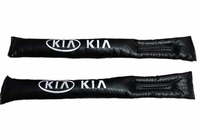 Cojín interior auto Kia (el par)