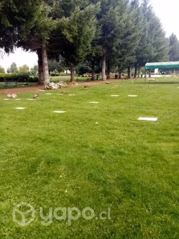 Sepultura Parque Jardín Las Flores Temuco - Imagen 3