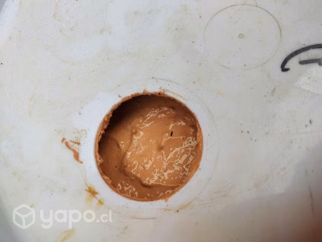 Pintura Texturada tineta de grano