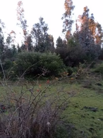 Se vende terreno