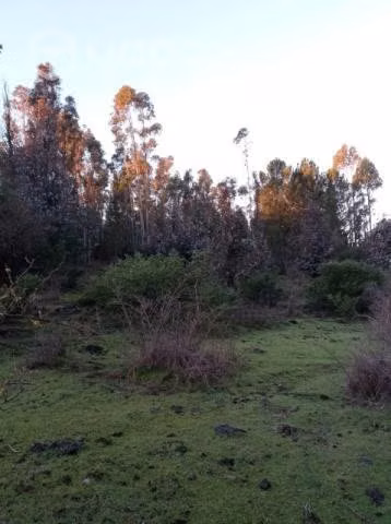 Se vende terreno - Imagen 2