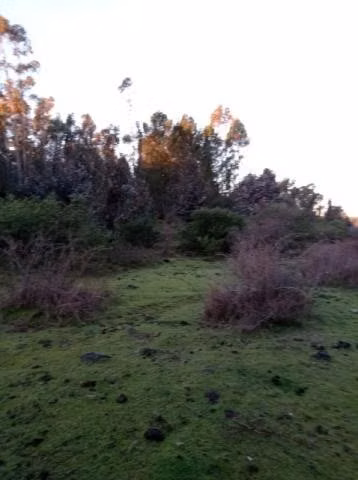 Se vende terreno - Imagen 7