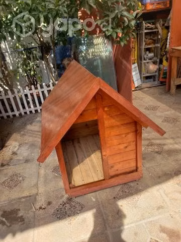Casita mascota