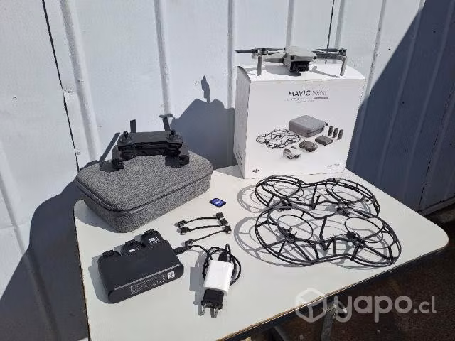 Drone Dji mini - Imagen 5