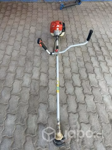 Orilladora a motor