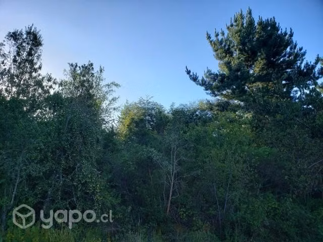 Terreno en Valdivia,Pichihuape 3 esteros