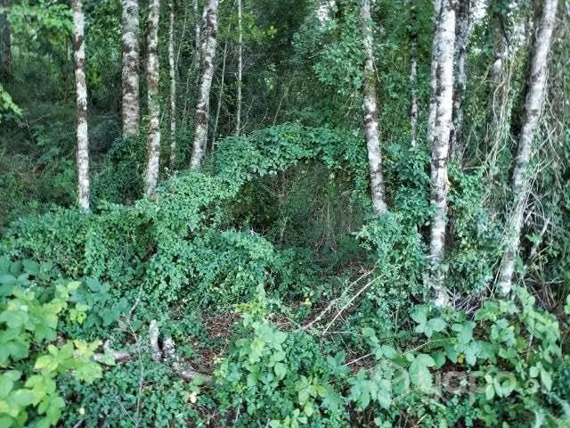 Terreno en Valdivia,Pichihuape 3 esteros