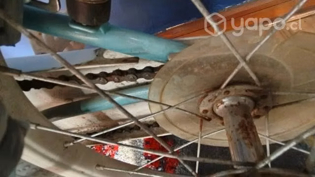 Bicicletas oxford