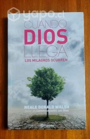 Cuando Dios llega los milagros ocurren - D. Walsch