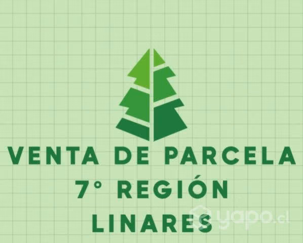 Hermosa Parcela Linares