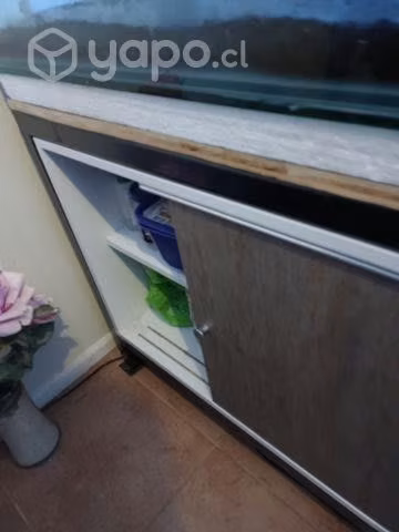 Acuario solo o con mueble