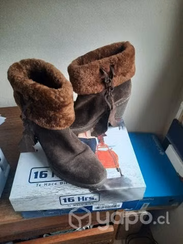 Botin 16 horas