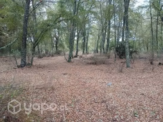 Hermosa parcela en región de Ñuble