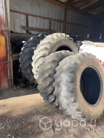 Forros para tractor