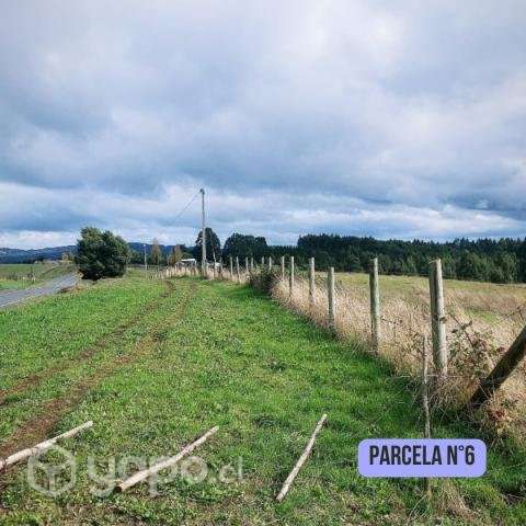 Parcelas en venta / trumao - la unión - Imagen 10