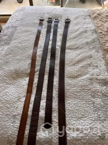 Cinturones