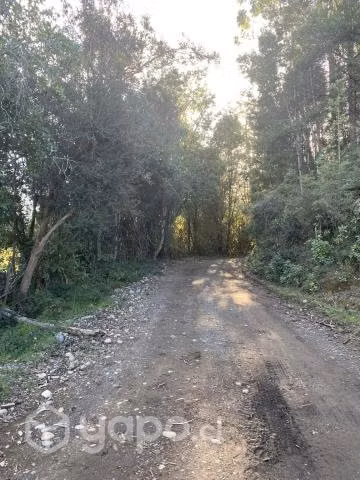 Venta de terreno, 3,86 Hectáreas o más.- - Imagen 2