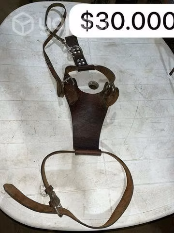 Arnes para perros