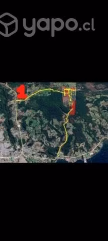 Parcela de 5000 mtrs
