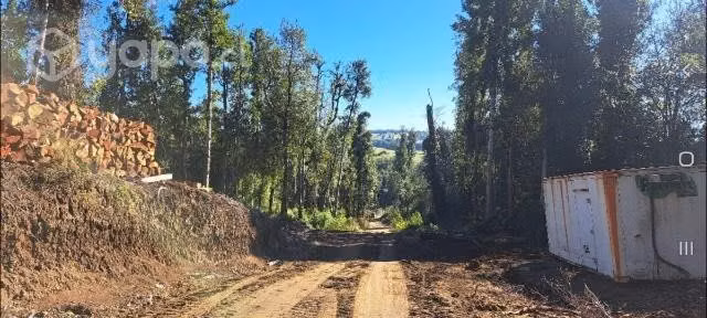 Parcela de 5000 mtrs