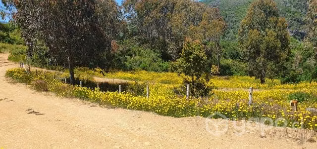 Parcela Estaquilla Primera Línea - Imagen 5