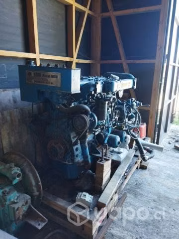 Motor marino