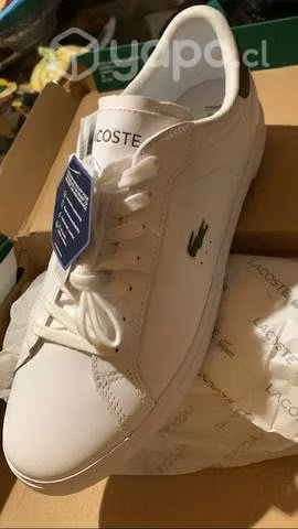 Original zapatillas lacoste embalada