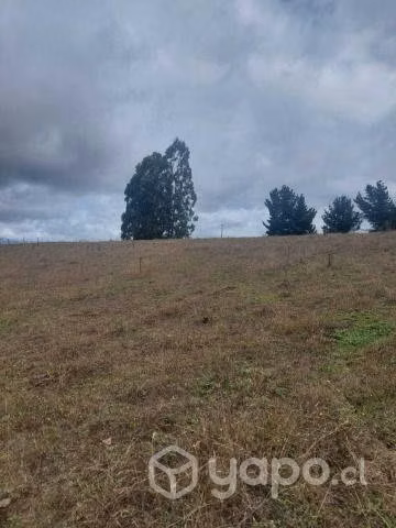 1.33 hectáreas camino a Mashue