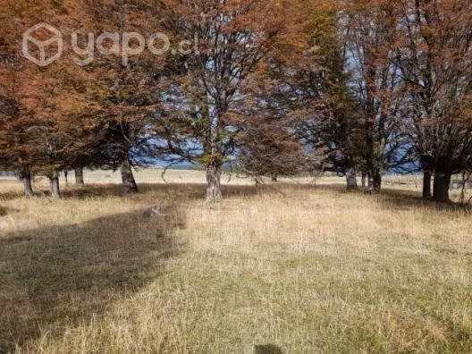 Parcela 5000metros2 en la Patagonia - Imagen 2