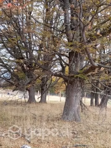 Parcela 5000metros2 en la Patagonia - Imagen 4
