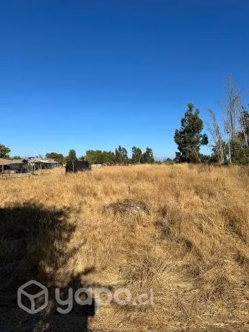 Sitio 6000 mts2 Talca sin Comision - Imagen 5