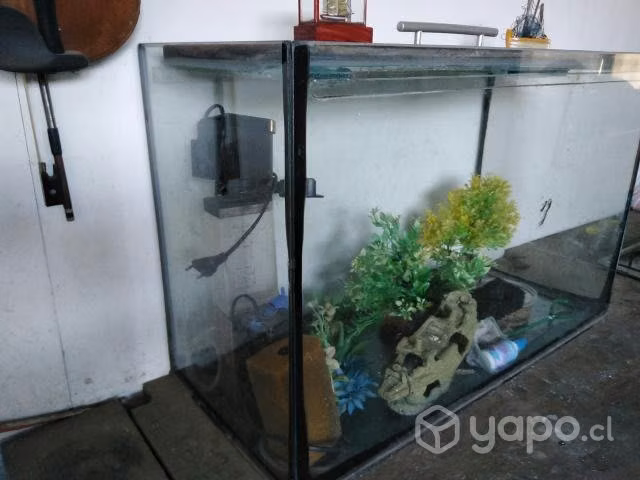 Acuario - Imagen 3