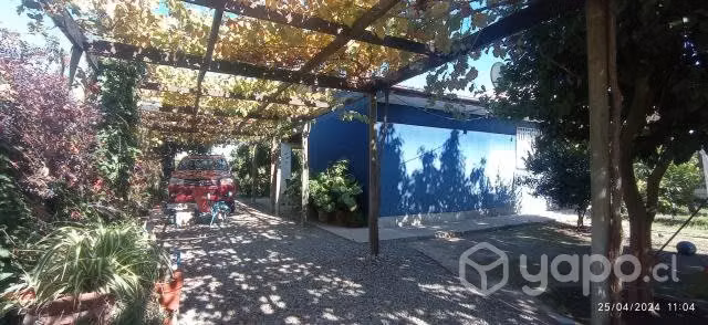 Exelente sitio con casa y arboles frutales