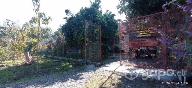 Exelente sitio con casa y arboles frutales